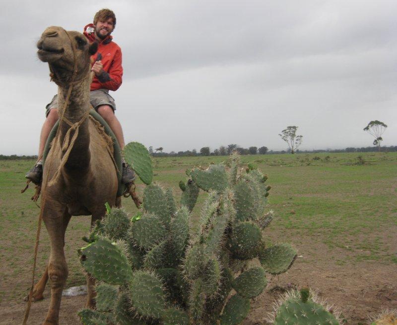 One hump or two...sadly for me, one with lots of pain