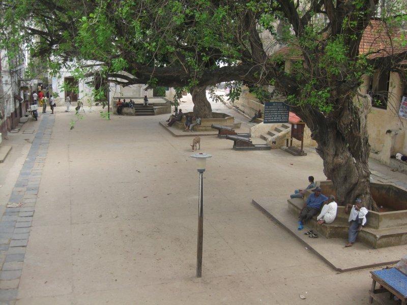Lamu town square - where it all happens