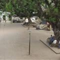 Lamu town square - where it all happens