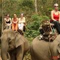 Elephant riding on trek