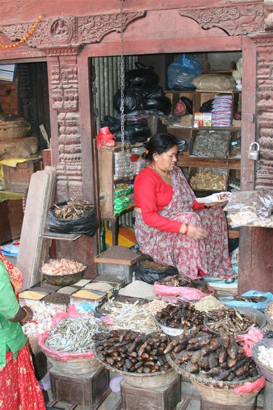 La Plaza Durbar / Durbar Square