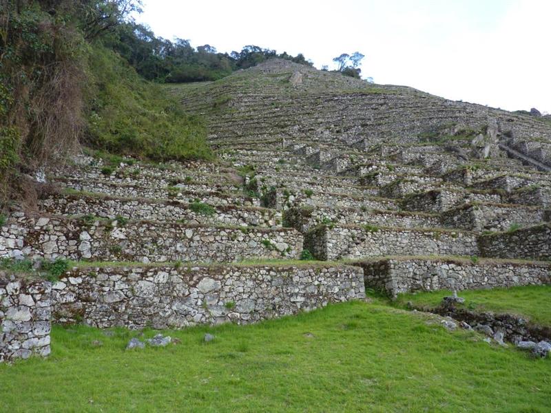 Terraces not far from MP