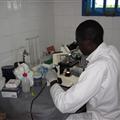 dingha's laboratory
