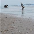 Nouakchott beach